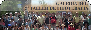 taller_fito