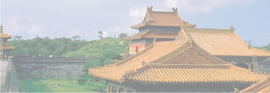 Acupuntura y medicina tradicional china, cursos, actividades, aprender